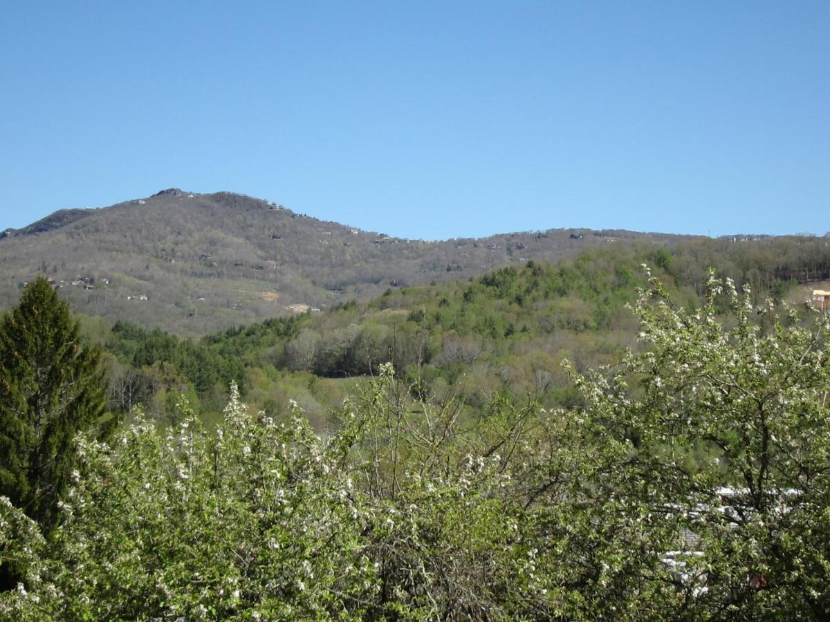 Villa Apple Orchard Getaway Near Beech & Sugar Mtns #3 Banner Elk Exterior foto